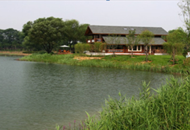 上海浦東三橋百花園