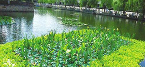 我公司想上一個污水處理項目，制訂技術(shù)方案時需要提供哪些資料？