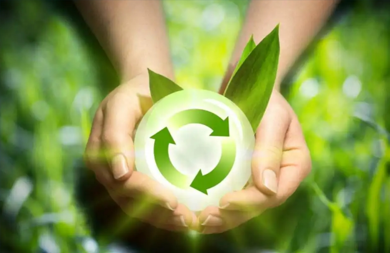 黨的十八大以來，我們?cè)谏鷳B(tài)環(huán)境保護(hù)工作當(dāng)中取得了哪些進(jìn)展？