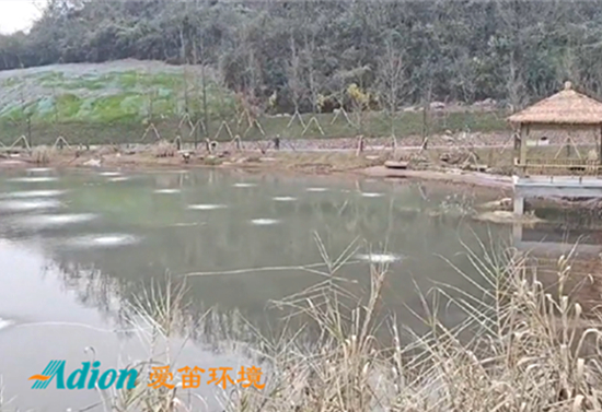 重慶鐘家溝河道治理 